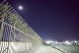 Moonlit Pathway: A Night at Coachella 2024