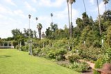 Serene Garden Oasis