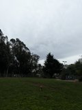 A Serene Day in the Park