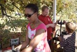 Apple Picking Fun