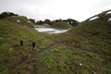 The Green Roof of the New York Academy of Sciences