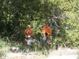 The Horse and the Orange Men