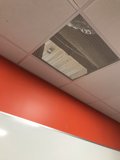 Serene Beach Ceiling