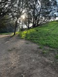 The Serene Dirt Path