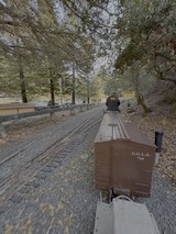 Vintage Train Journey Through Forest Canyon