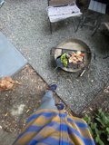 Summer BBQ with Fido