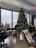 Festive Living Room with a Beautiful Christmas Tree