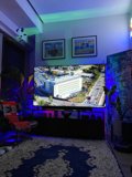 A Contemporary Living Room