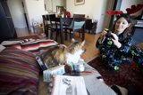 Lengthy List of Loves - Cats, Cameras, and Coziness