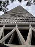 Towering Skyscraper