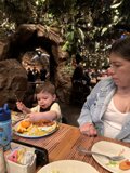 Jungle Dining Adventure