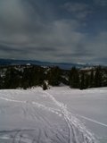 Skiing in the Evergreens
