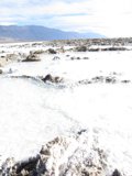 Frozen Oasis