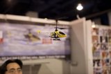 Fascination with Flying