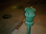 Marcus Respects the Fire Hydrant