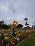 Serene Beauty in Golden Gate Park