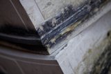 Moldy Wall Woes
