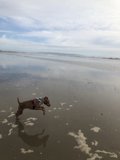 Running Free