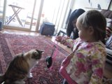 Little Girl and Her Feline Friend