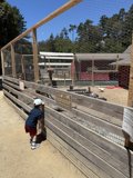 Curious Explorations at Tilden Nature Area