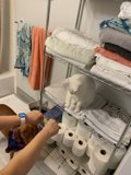 The Shelf Dog