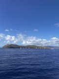 Island Oasis