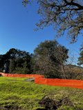 A Fence Divides the Greenery