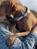 Puppy Love