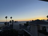 A Serene View of the Ocean and Palm Trees