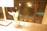 Lush Addition to Interior Design