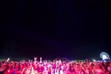 Ecstatic Crowd at Coachella Music Festival