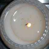Bug in the Flames