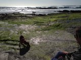 Woman and Dog Enjoying the Wild Scenery at Carmel Beach