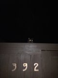 Midnight Perch
