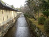 Serene Stream in City Park
