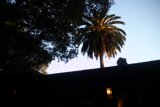 California Dreamin'