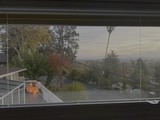 Morning View Through Residential Window