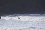 Catching Waves at Mavericks