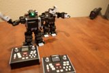 Robot Playtime on Hardwood Flooring