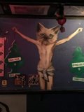 Feline Symbolism