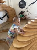 Steps of Exploration