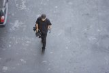 The Urban Observer