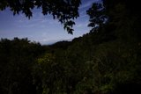 Serenity in Tilden Park