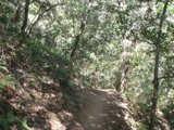 Journey Through the Wilderness