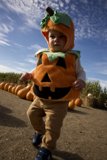 Wesley's Pumpkin Adventure at Halfmoon Bay