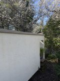 Tranquil Spring in Guerneville