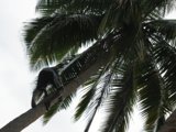 Climbing to New Heights