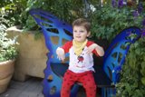 Wesley's Enchanted Garden Adventure