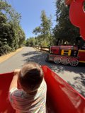 A Joyride Through the Park