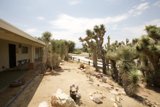 A Desert Oasis